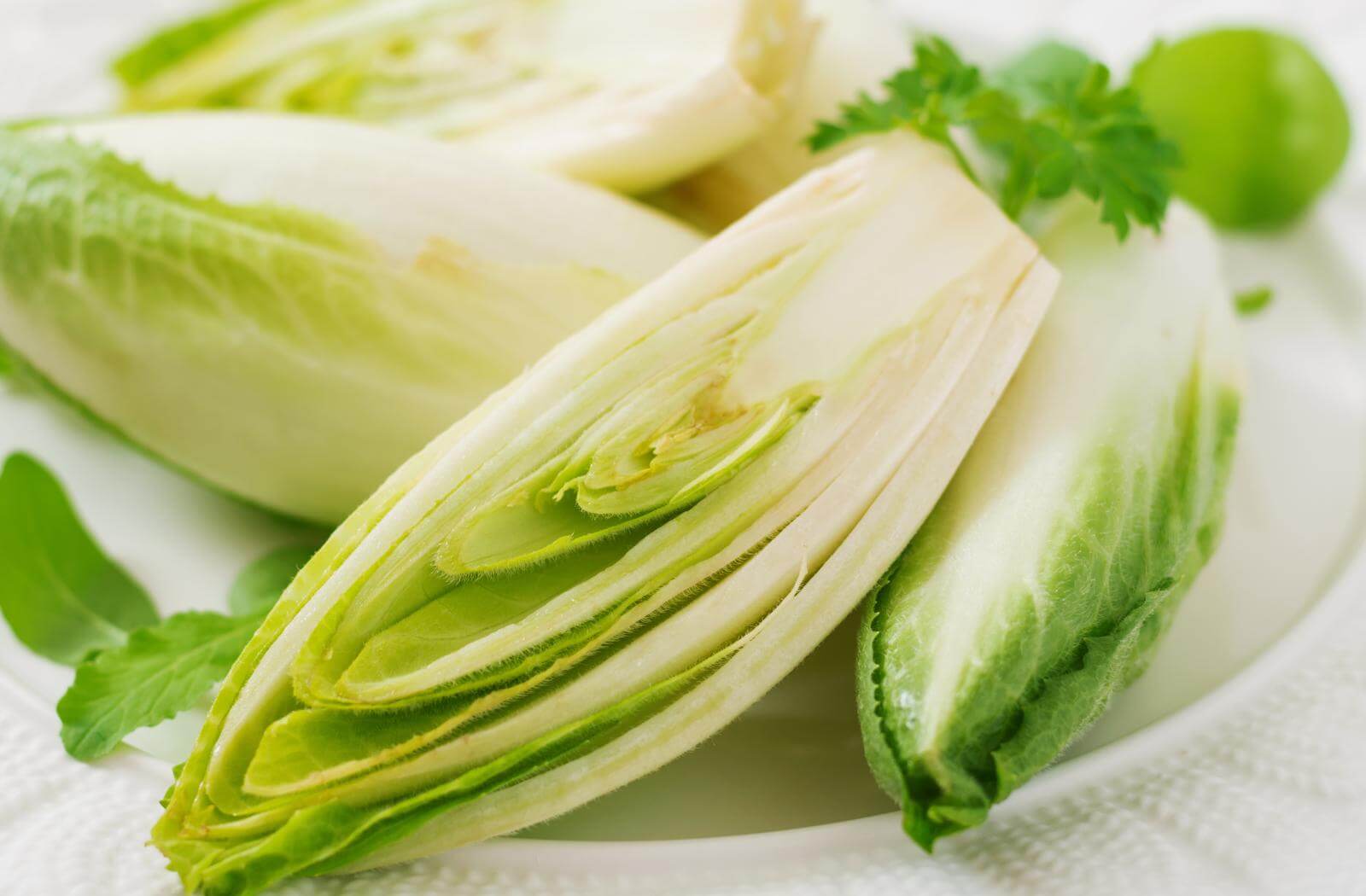 Chicorée kann den Energieverbrauch steigern und den Appetit von Kindern regulieren. Er enthält Vitamin C, Kalium und Ballaststoffe