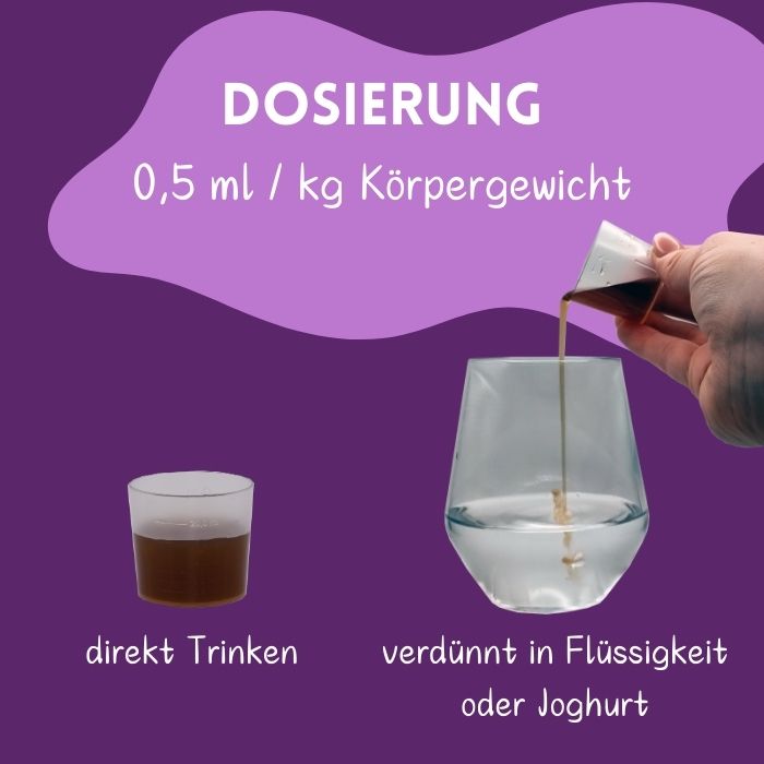 Immun Kur - Set für Kinder