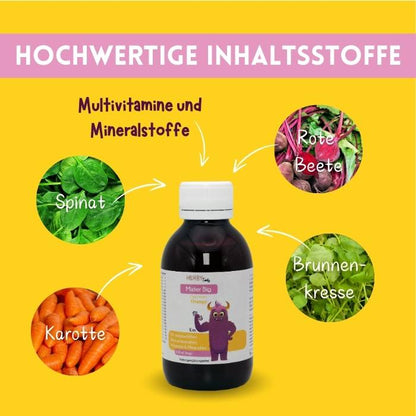 Mister Big Flasche mit Pfeilen die die pflanzlichen Inhaltsstoffe zeigen