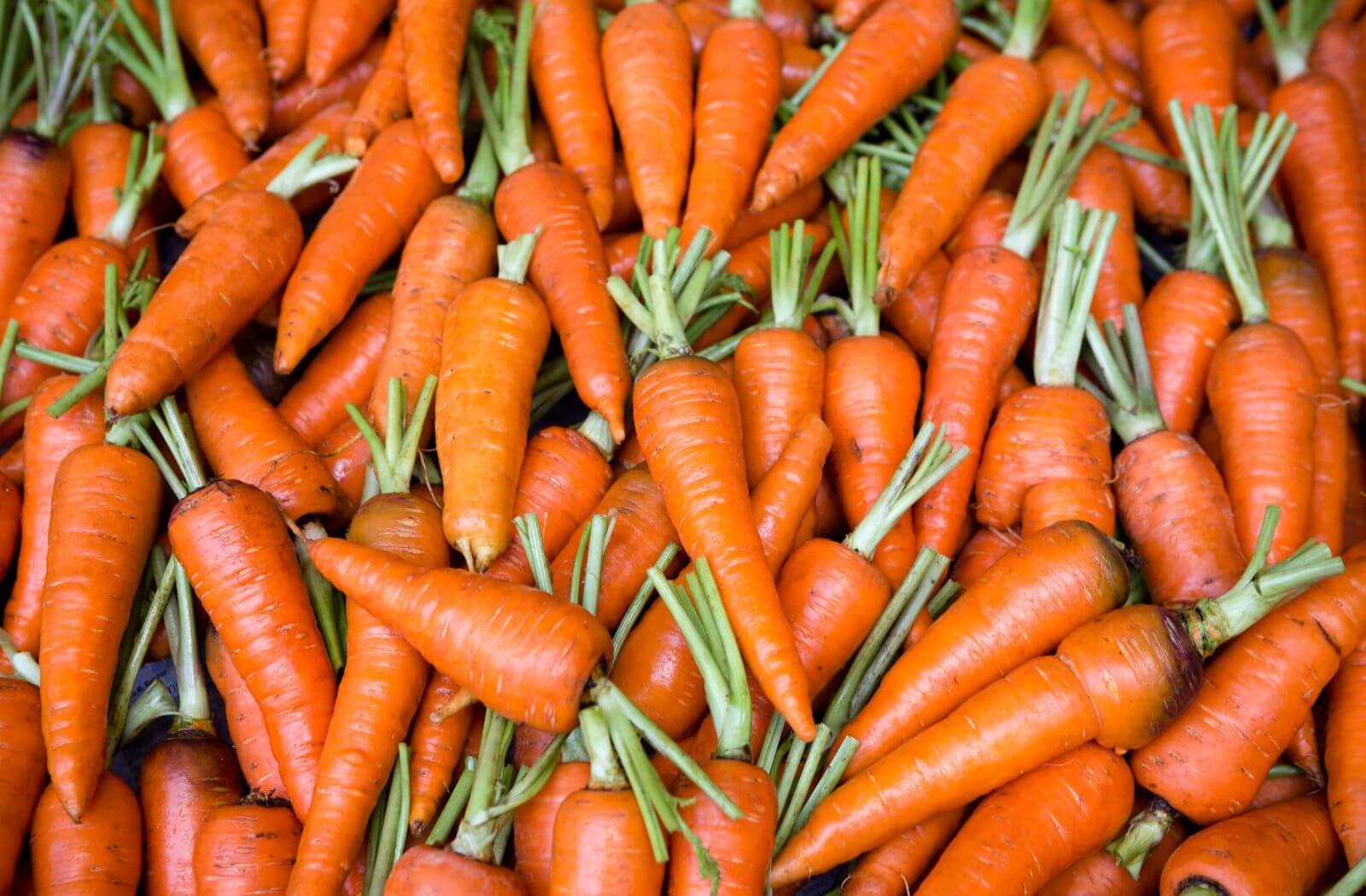 Karotten für Entwicklung, Wachstum und Sehkraft mit Antioxidantien für Kinder