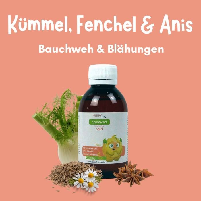 Sausewind Flasche mit Fenchel, Kümmel, Kamillenblüten und Anis mit dem Titel Blähungen und Bauchweh