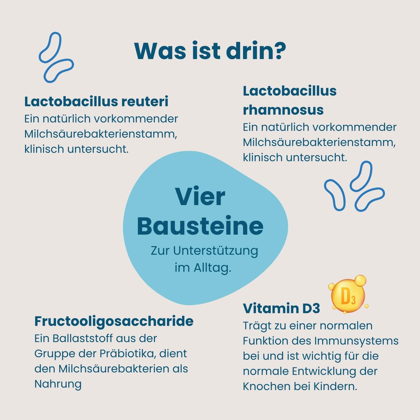 Die vier Inhaltsstoffe von BabyBiotik, Lactobacillus reuteri, Lactobacillus rhamnosus, Fructooligosaccharide und Vitamin D3
