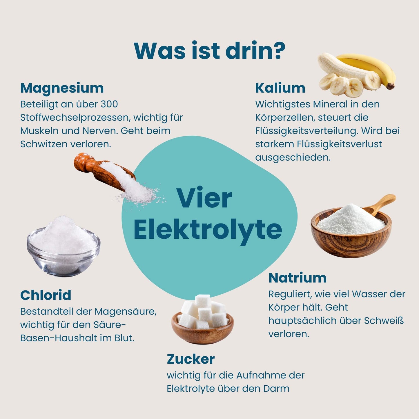 Infografik zu den vier Elektrolyten Magnesium, Kalium, Natrium und Chlorid in HERBY Family Elektrolyte