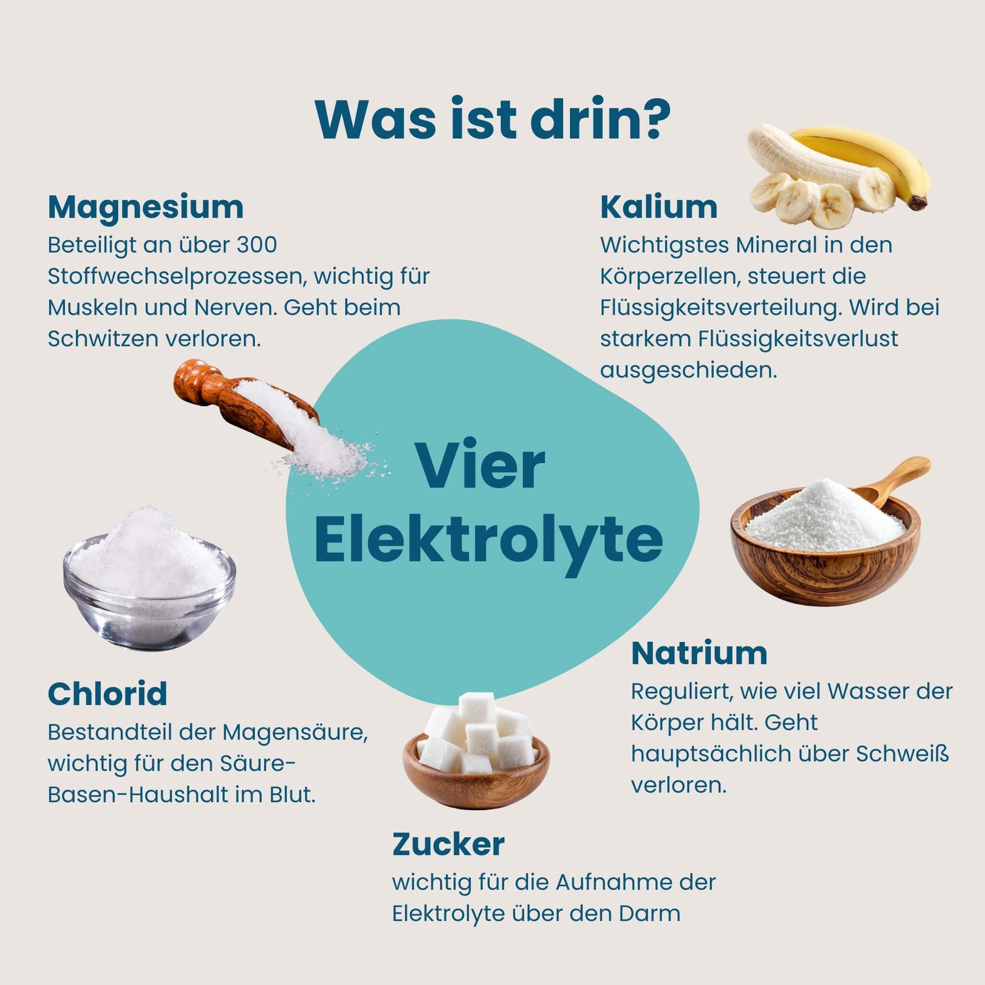 Infografik zu den vier Elektrolyten Magnesium, Kalium, Natrium und Chlorid in HERBY Family Elektrolyte