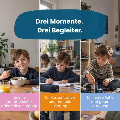 Kind beim Frühstück, beim Lernen in der Schule und beim ruhigen Spielen am Abend: drei Alltagsmomente mit Mister Big, Hokus Fokus und Chilly Milly von HERBY Family