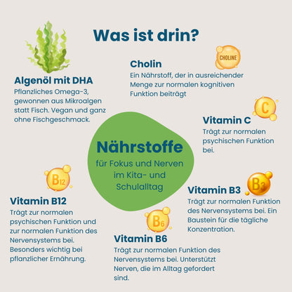 Übersicht der Nährstoffe in Hokus Fokus Gummies, Algenöl mit DHA, Cholin, Vitamin C, B3, B6 und B12