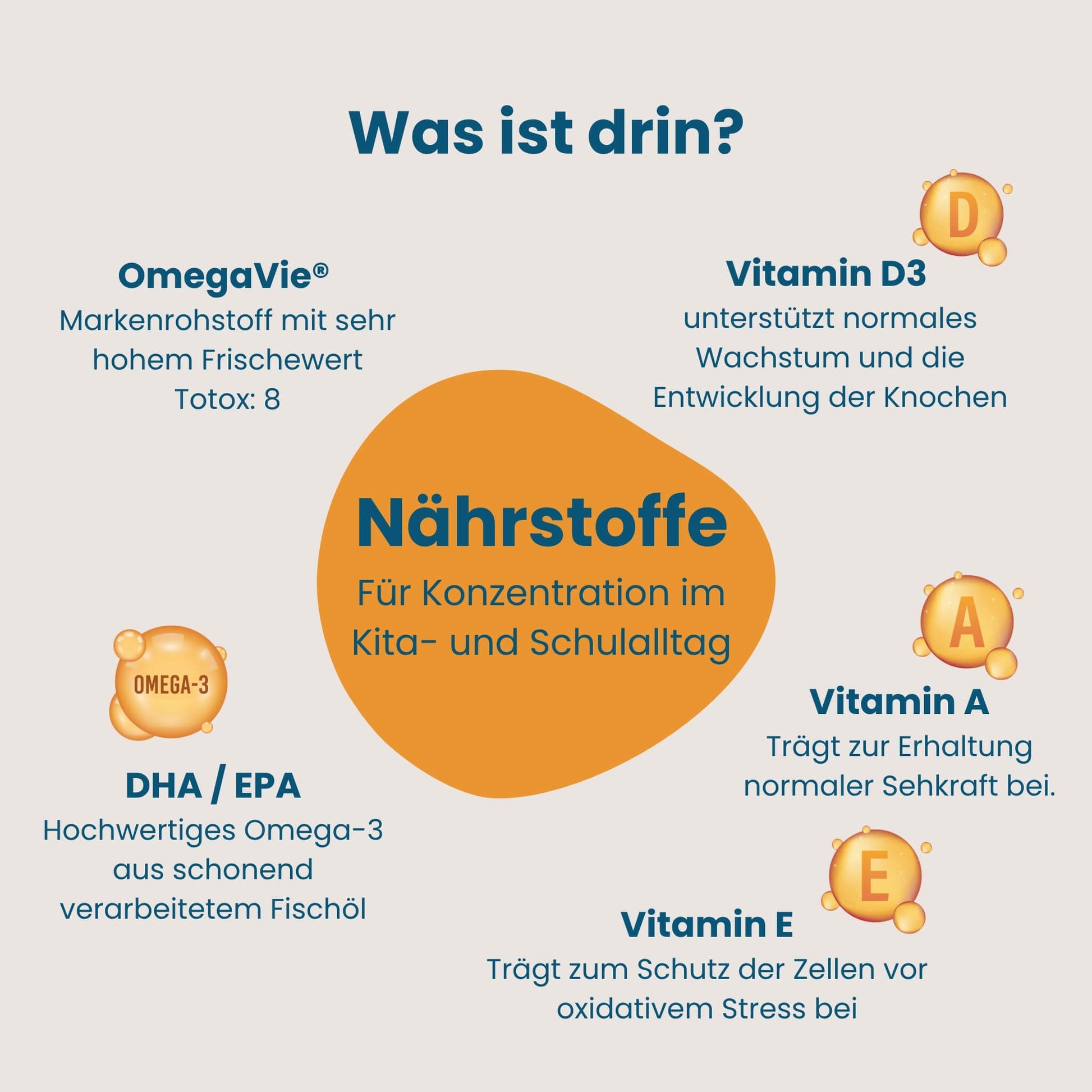 Übersicht der Nährstoffe in Hokus Fokus, Omega-3 DHA/EPA, Vitamin A, D3 und E