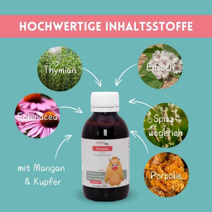 Mirakelix enthält Extrakte aus Echinacea, Thymian, Eibisch, Spitzwegerich und Propolis