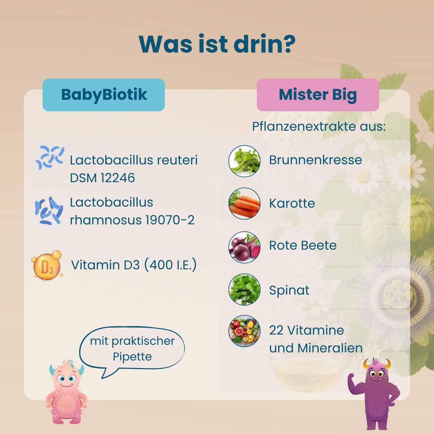 Inhaltsstoffe der Immun Kur, Lactobacillus reuteri, Lactobacillus rhamnosus, Vitamin D3 und Pflanzenextrakte