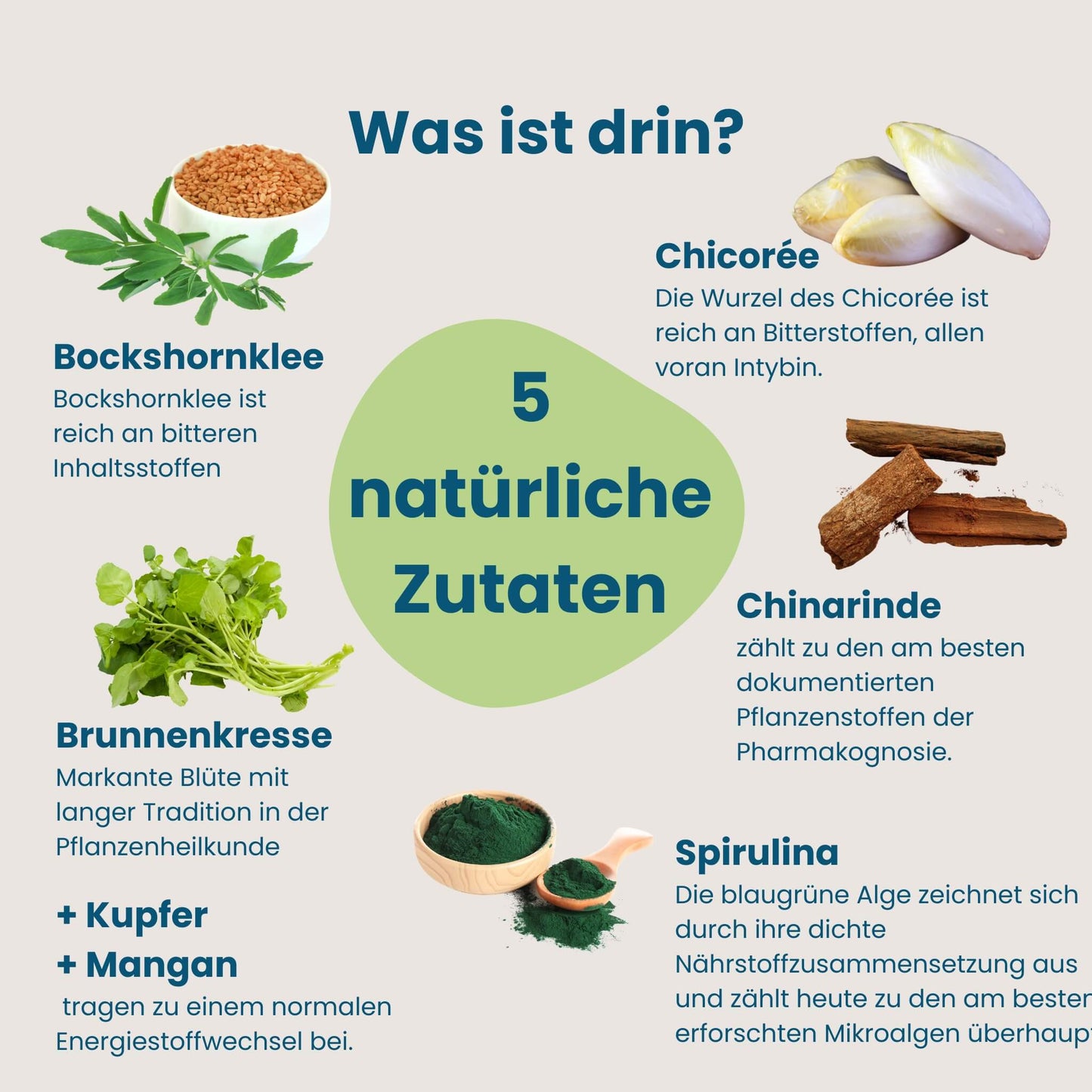 Übersicht der fünf natürlichen Pflanzenextrakte in Mahlzeit!