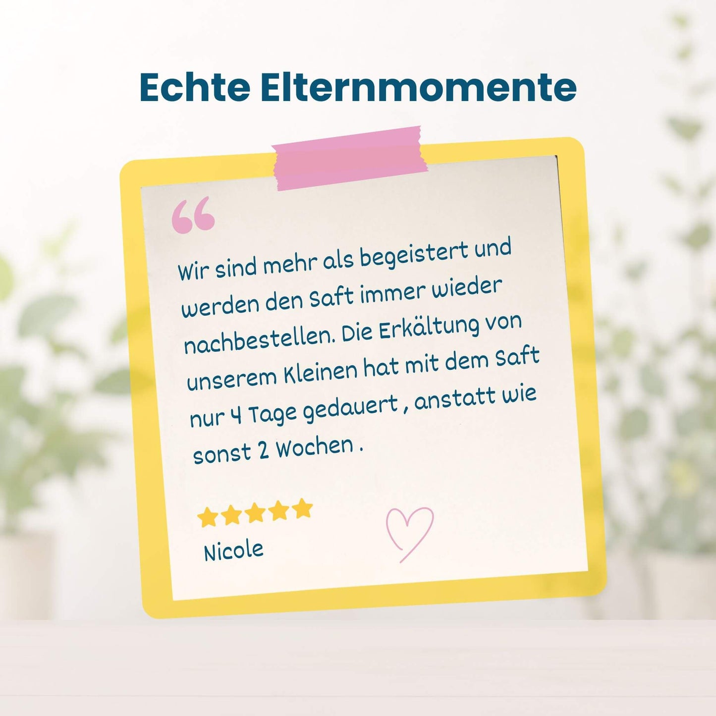 Fünf-Sterne-Kundenbewertung zu Mister Big von Herby Family