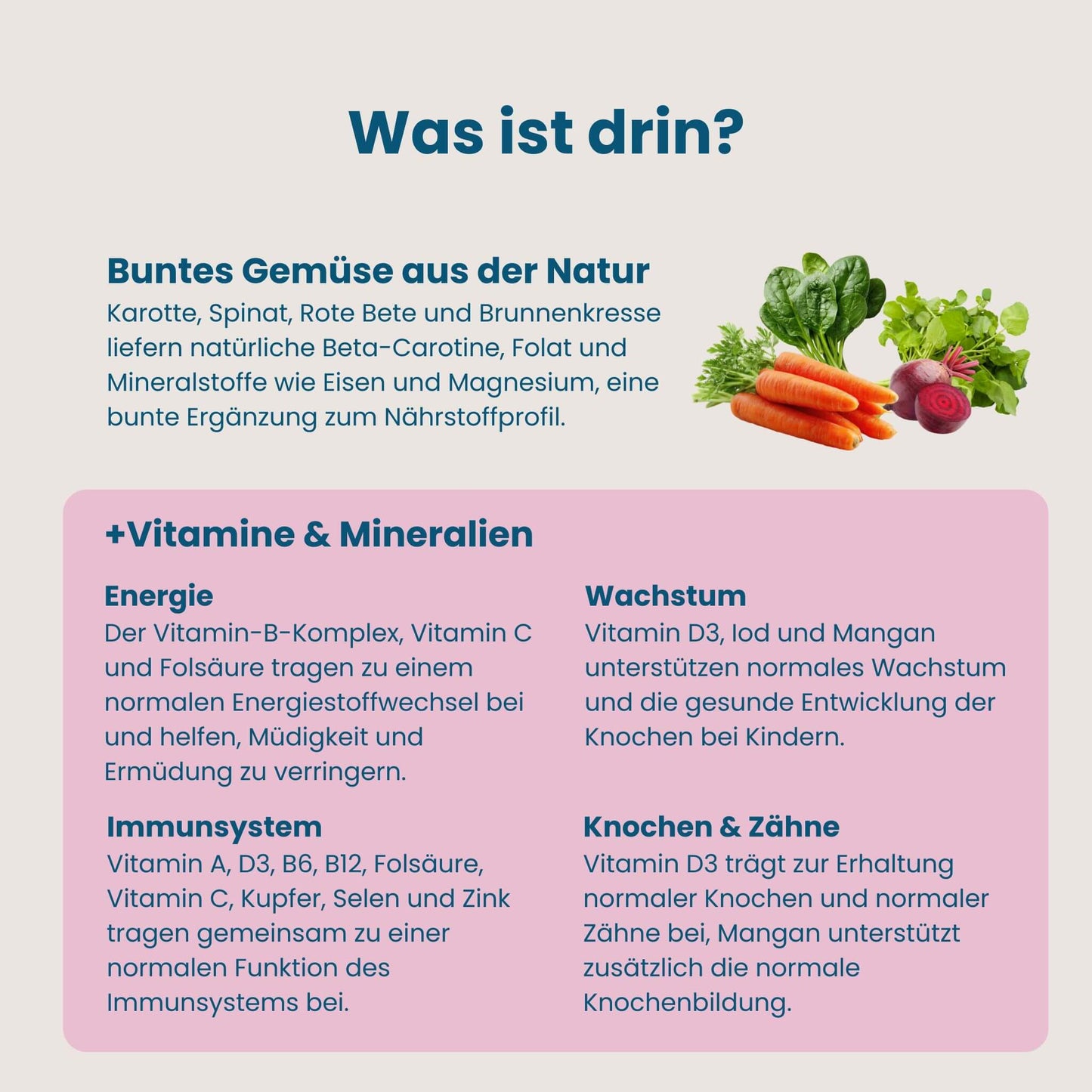 Übersicht der Nährstoffe in Mister Big für Wachstum, Energie, Immunsystem sowie Knochen und Zähne