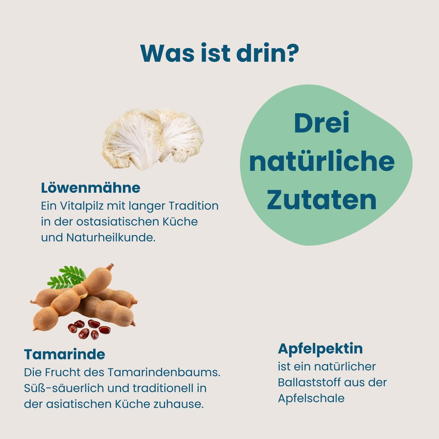 Infografik der drei Zutaten von Oh-La-Lax, Löwenmähne, Tamarinde und Apfelpektin